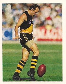 1993 Select AFL Stickers #188 Dale Weightman Front